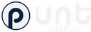 Punt Casino logo